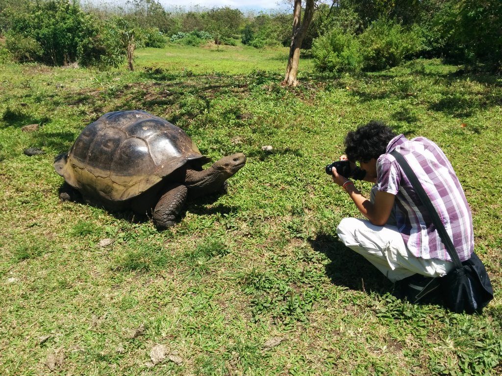 Tortugueando en las Islas Galápagos