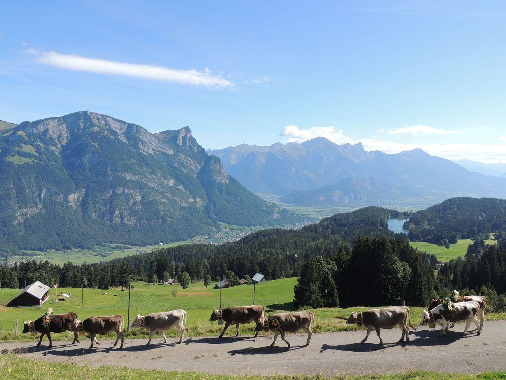 Alpes Suizos